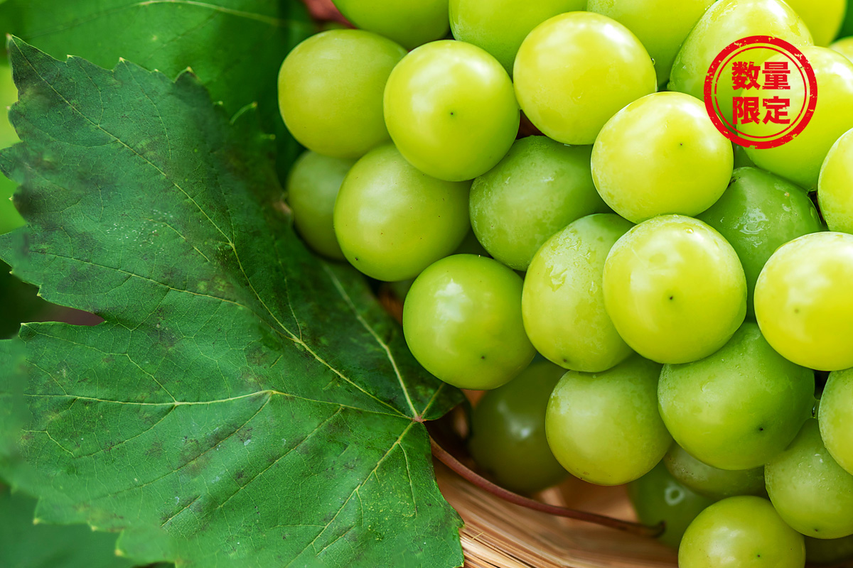 シャインマスカット